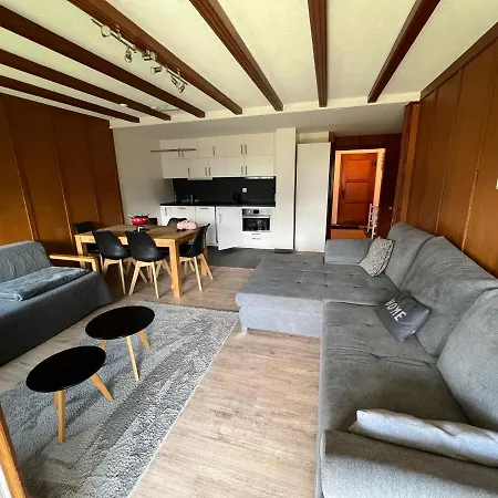 Petit Flocon Au Centre De